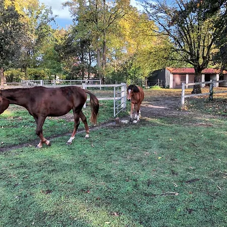 Confortable Au Coeur Du Pian-medoc Avec Jardin Apartment Le Pian-Medoc